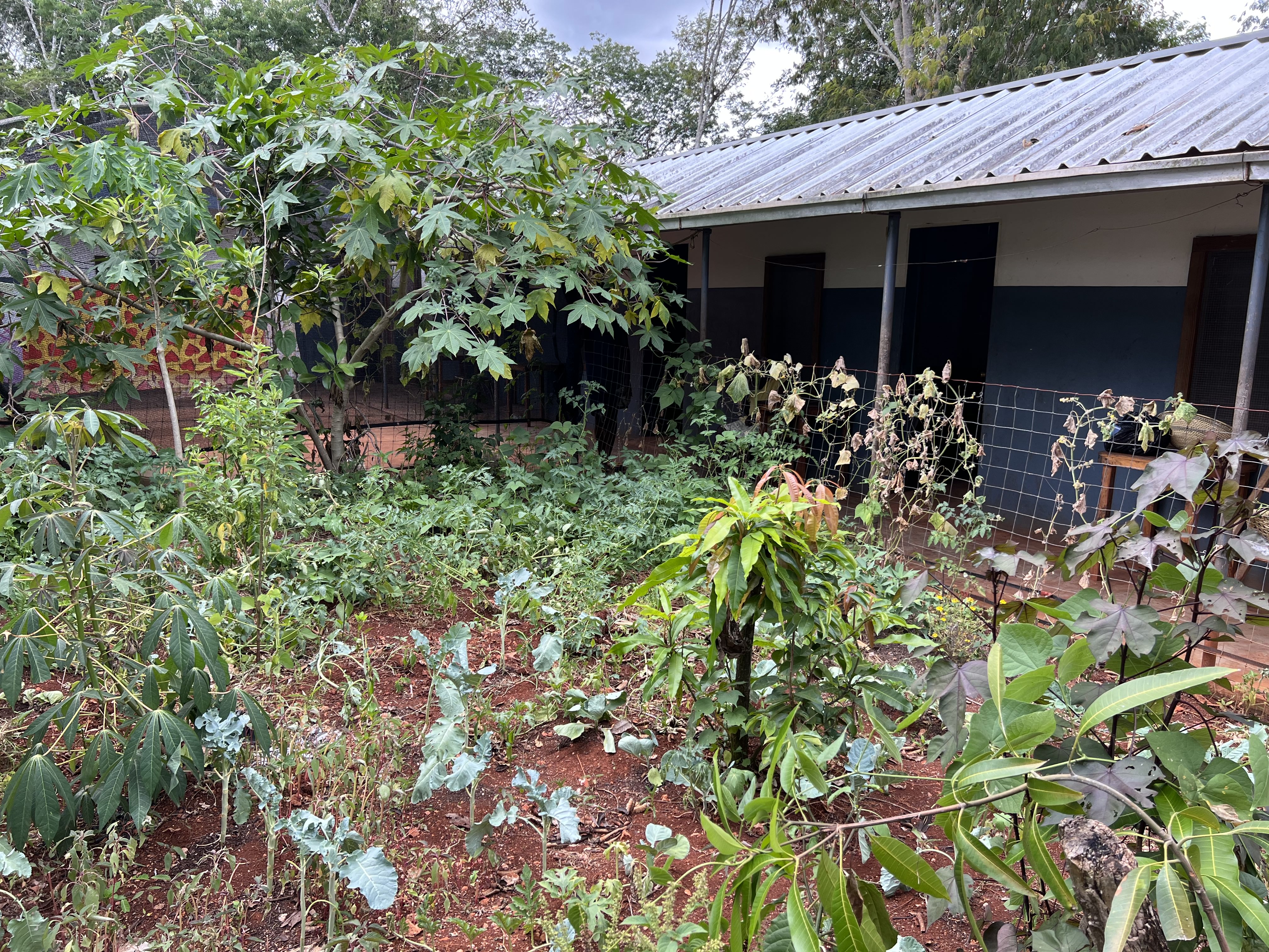 Tree Ministry